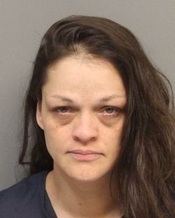 Mugshots from the county jail: 02-26-2019
